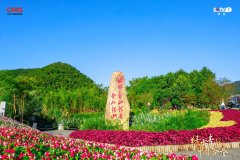 像不只是对天然之美的活泼呈现